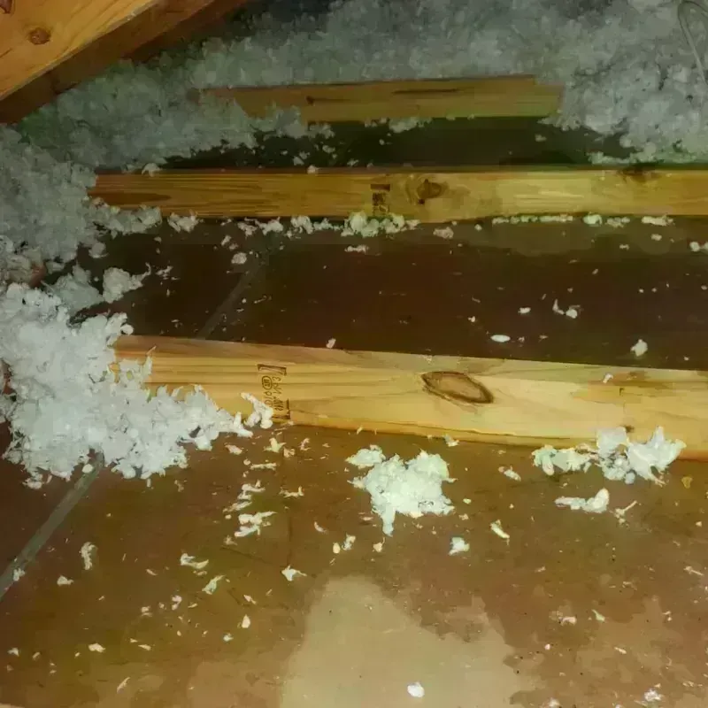 Attic Water Damage in Wellington, OH