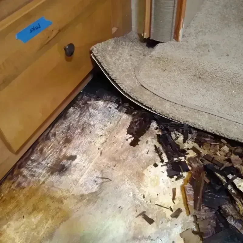 Wood Floor Water Damage in Wellington, OH